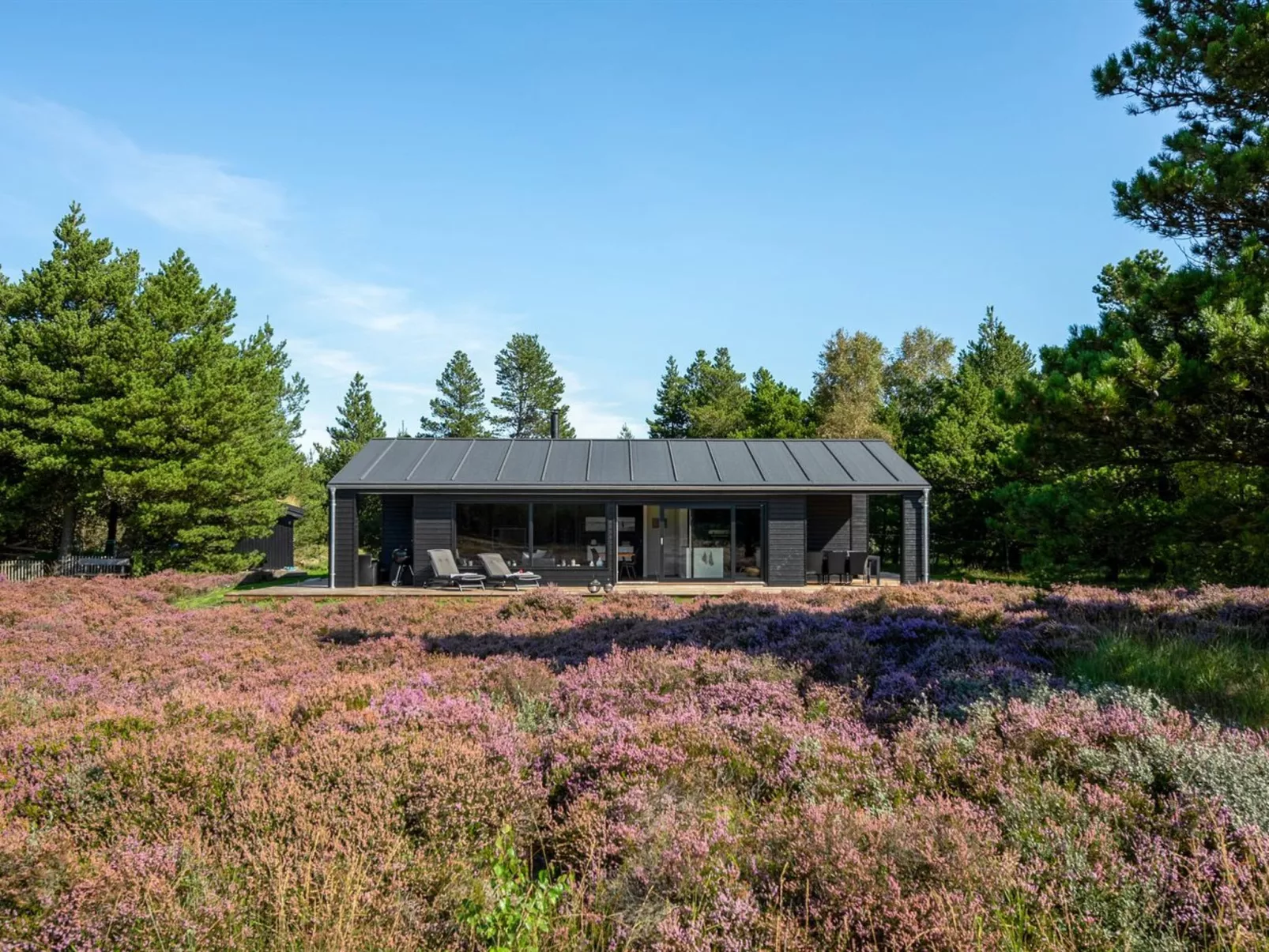 "Tea" - 2.7km from the sea-Buiten