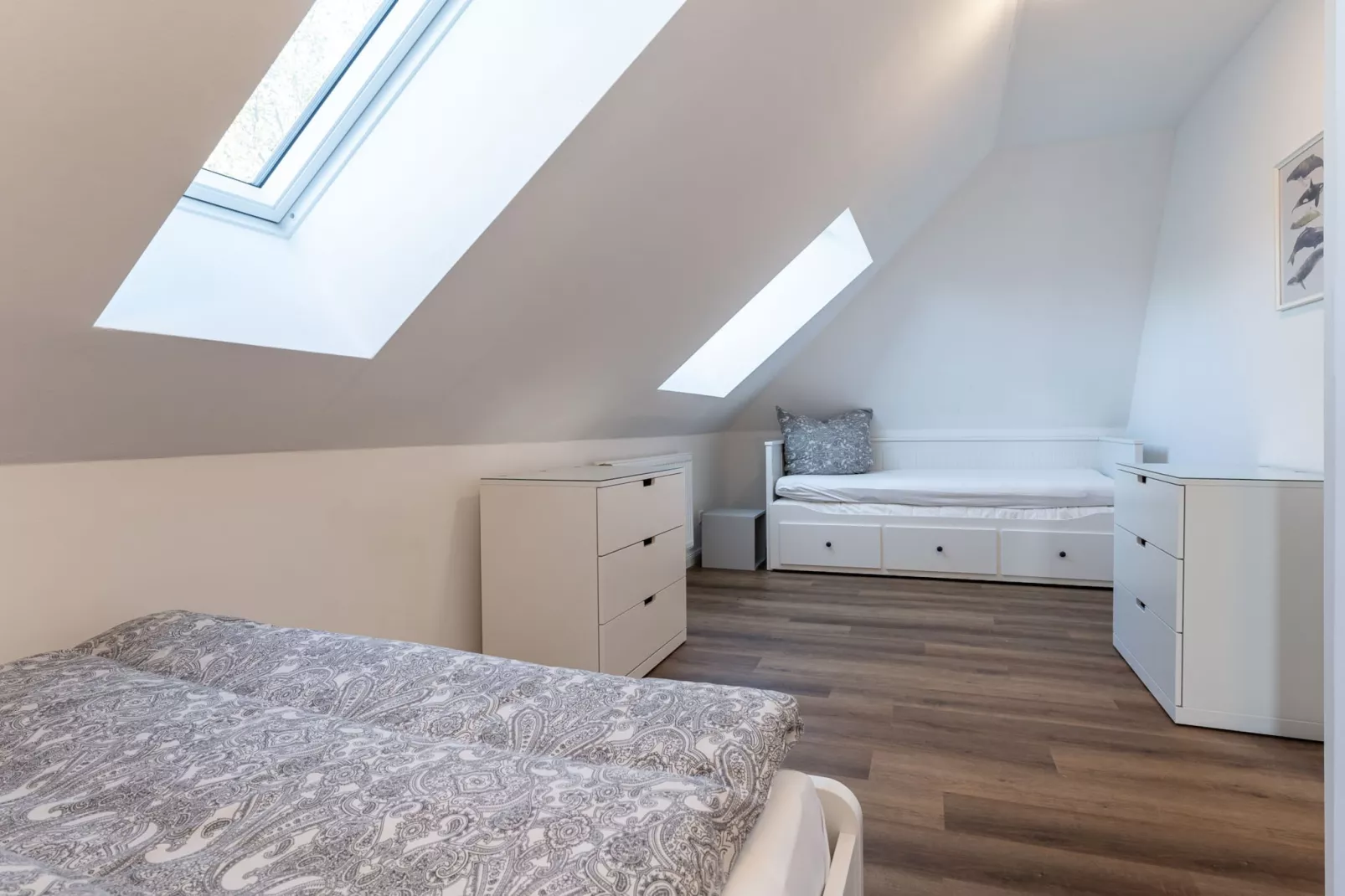 DHH June-Image-tags.