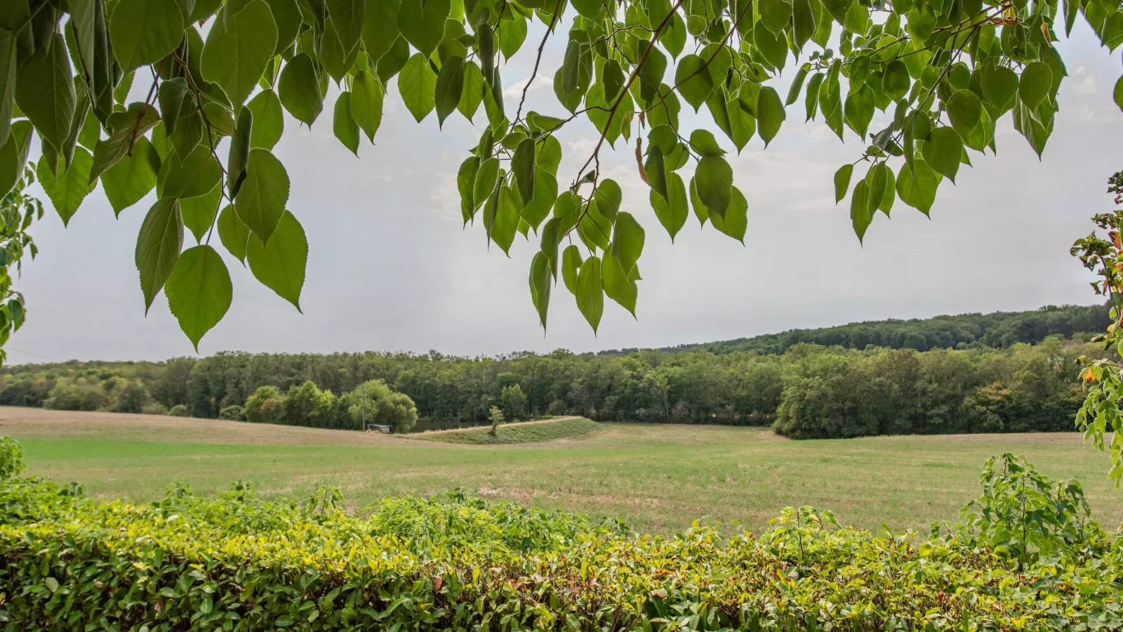 Tournesol-Uitzicht zomer