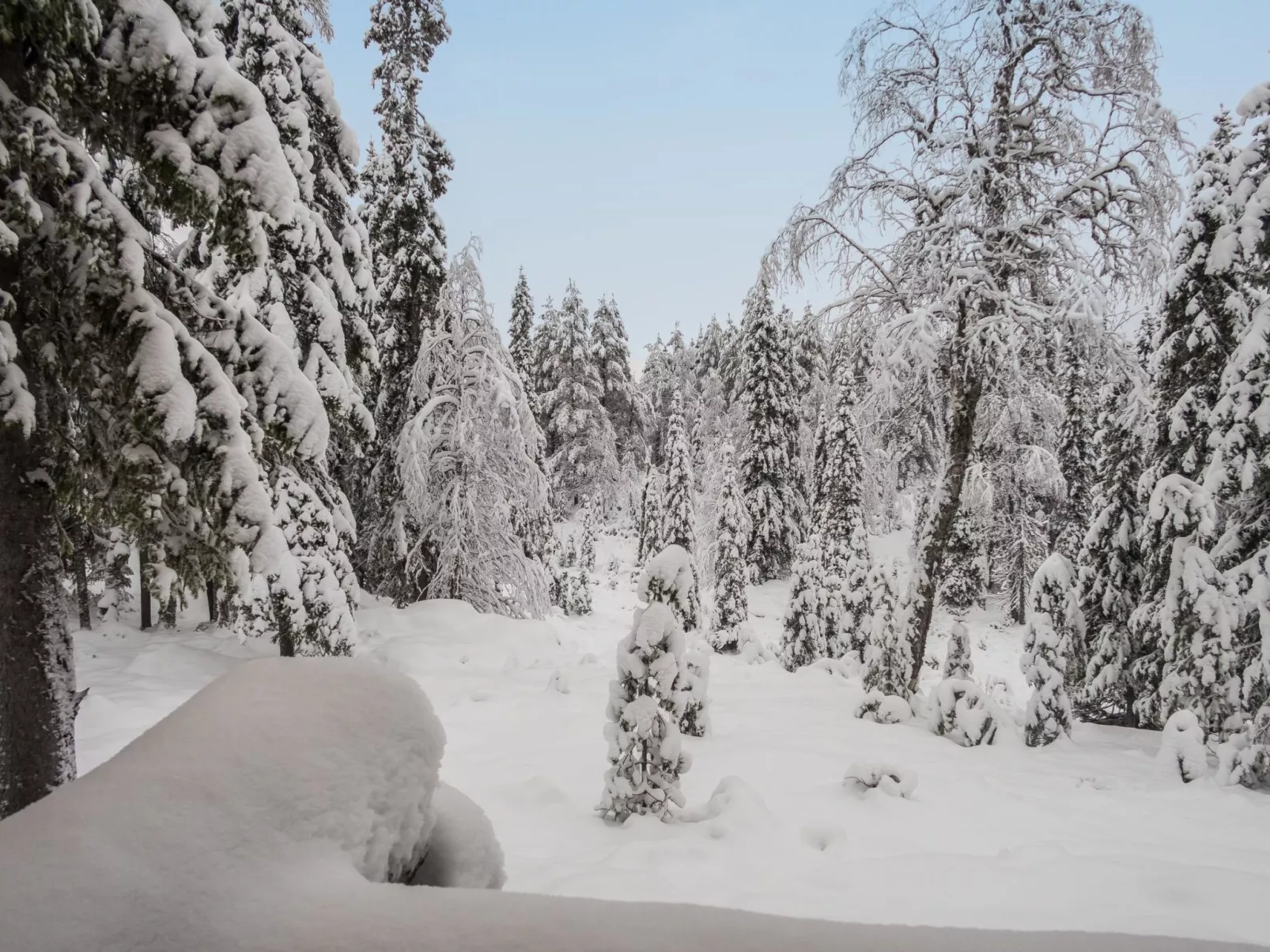 Ruka-rokova 2-Binnen