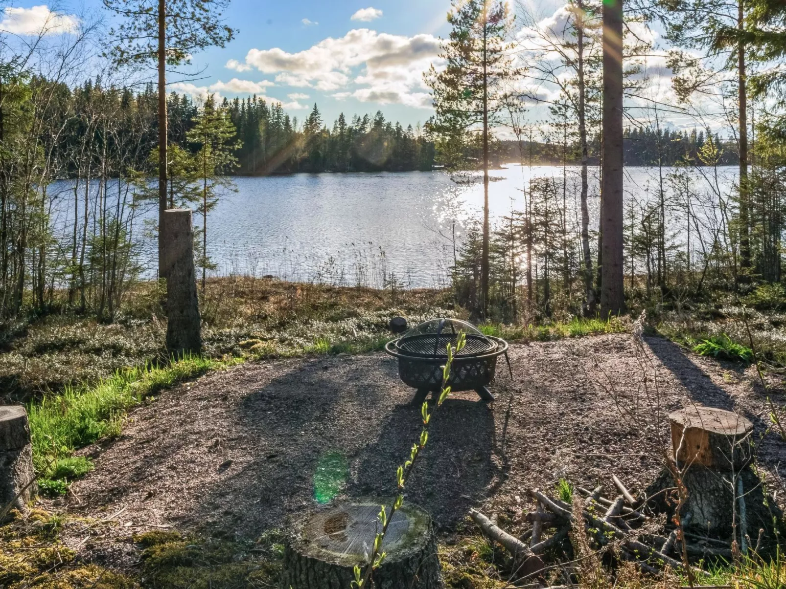 Järven idylli-Binnen
