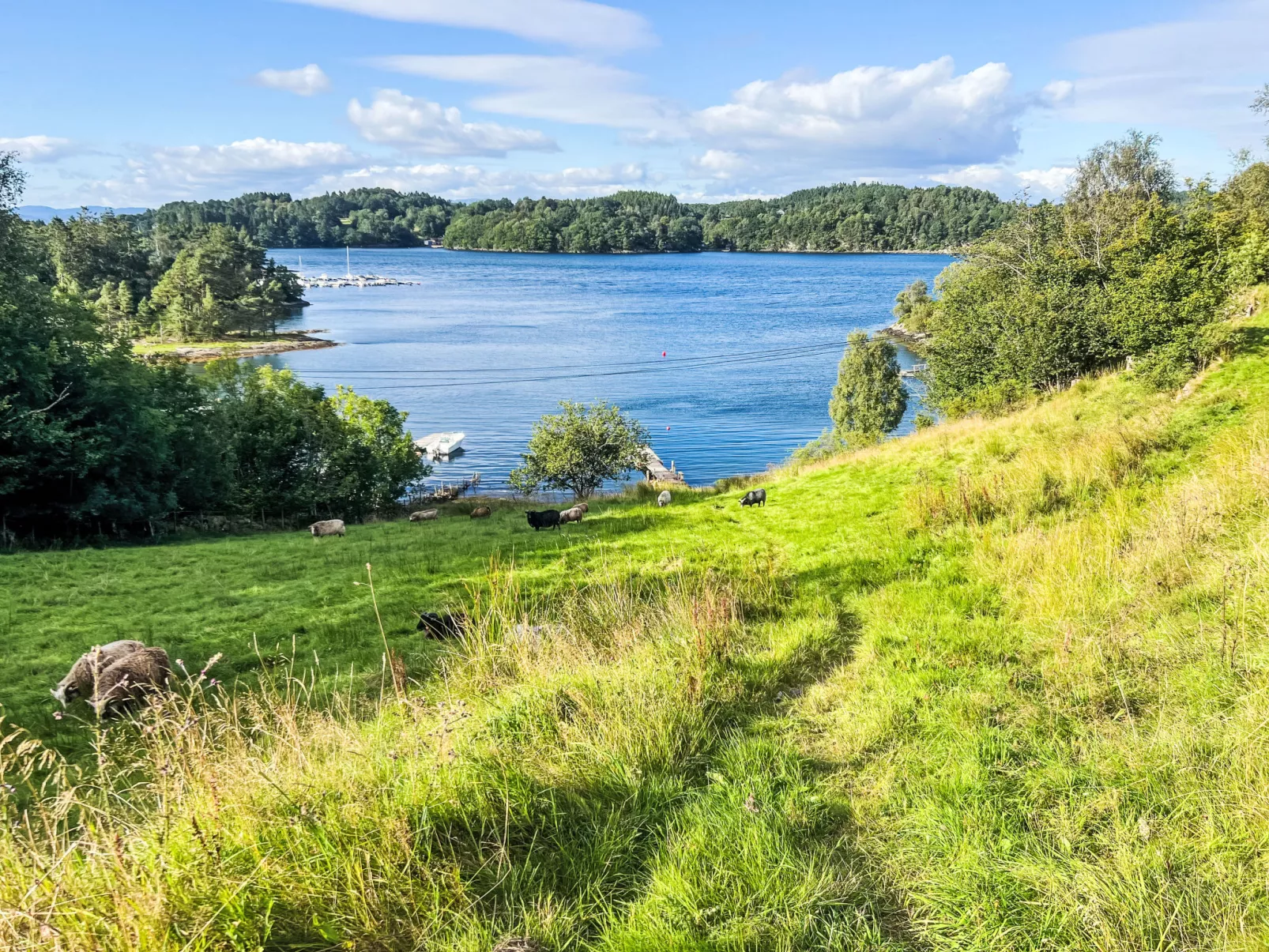 Lauvlid Cottage-Buiten
