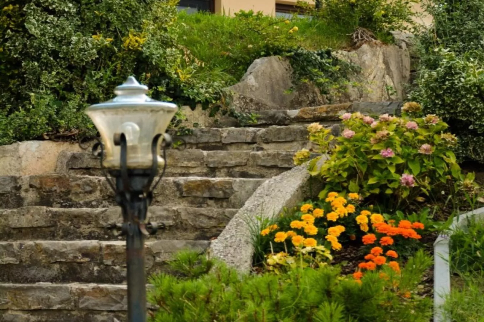 Zevnik Quiet Retreat with Stunning Views and Equestrian Activities - One Bedroom Apartment-Buitenlucht