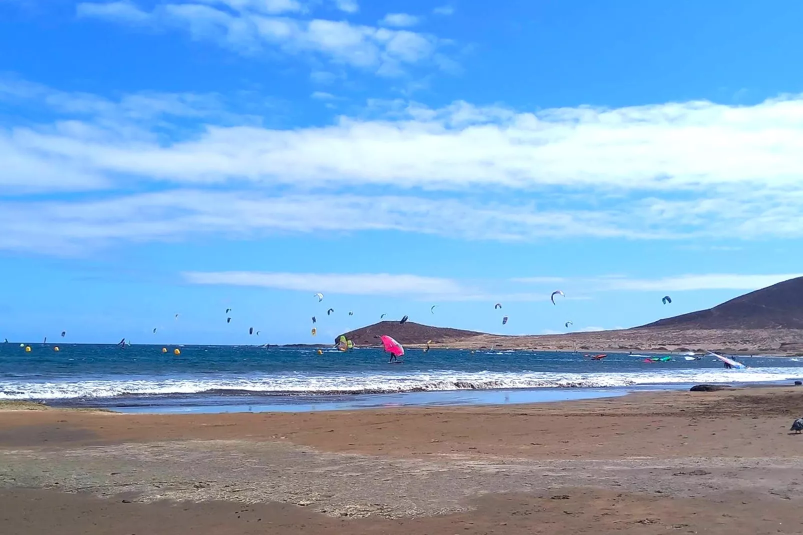 Delfin 101B 1d-Gebied winter 20km