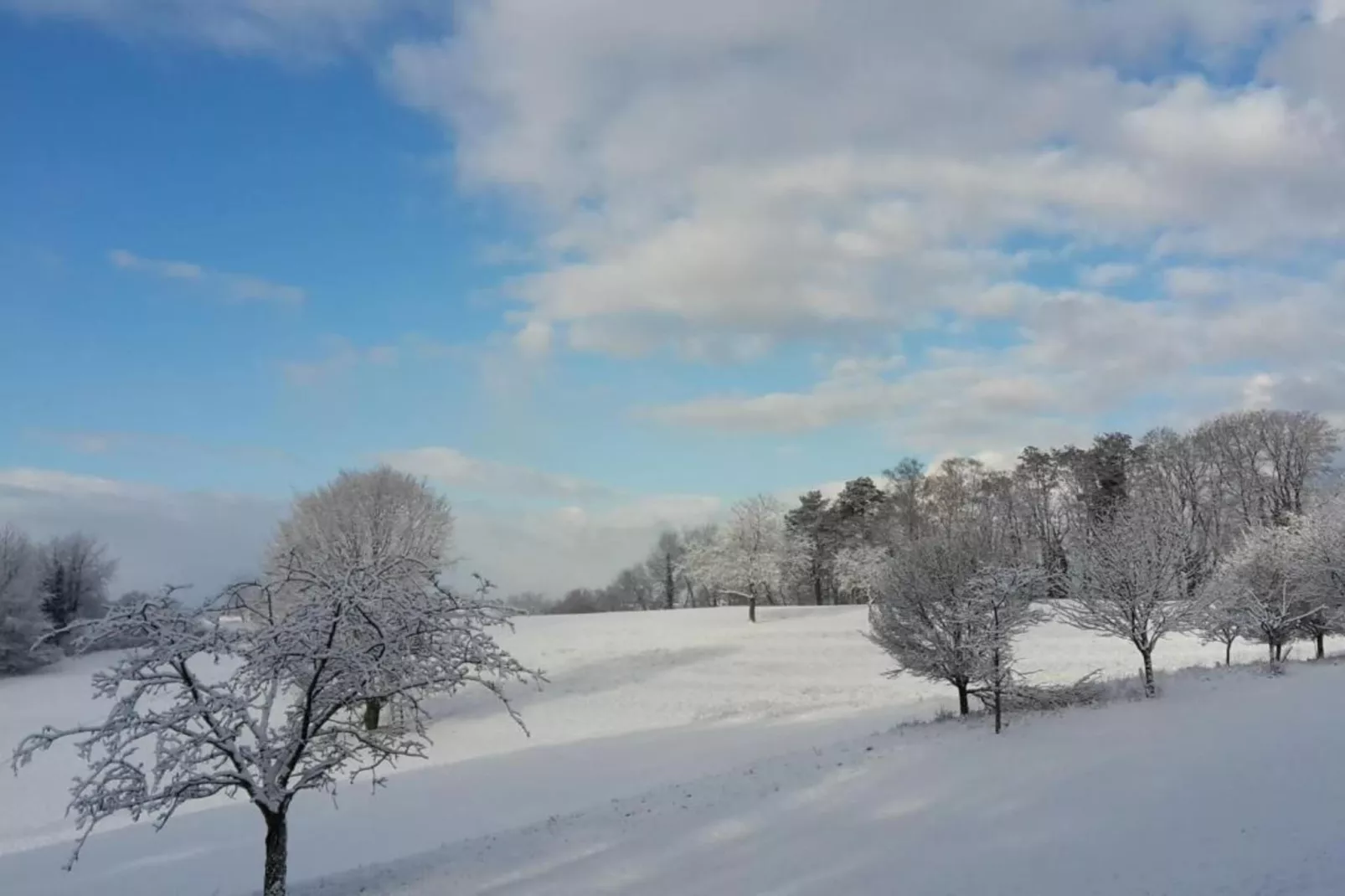 Luxuriöses Wohnen im historischen Haus-Gebied winter 5km