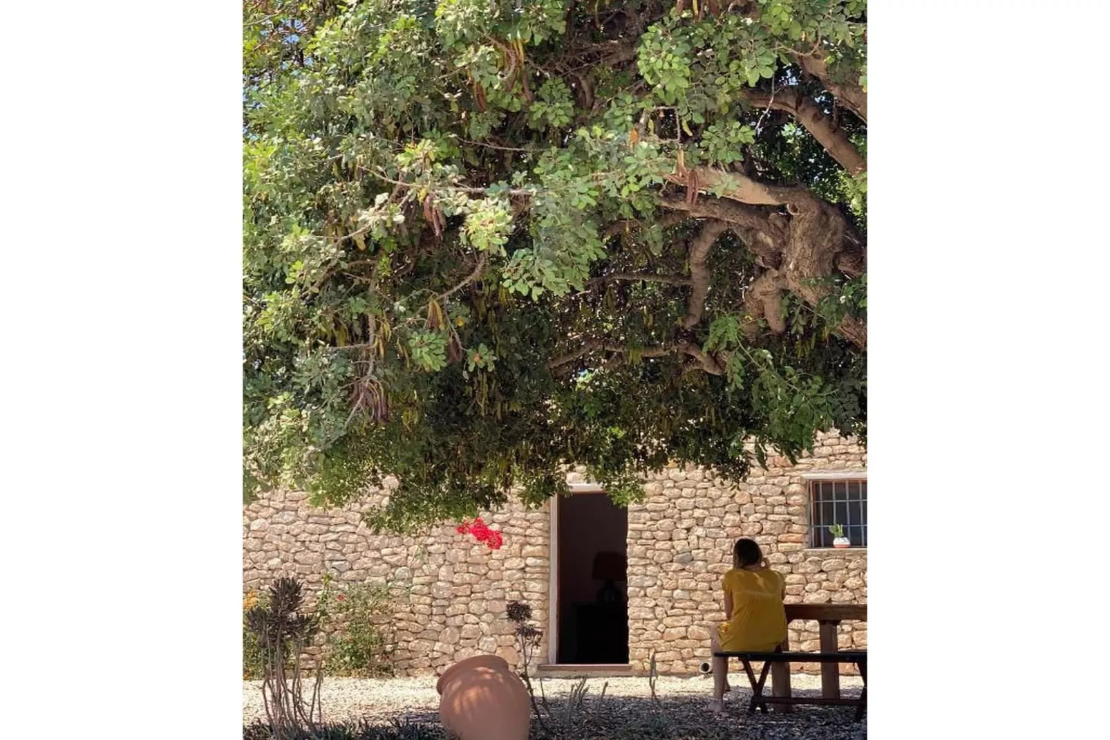 CT 354 AL - Faro's Casa Piedra - Agua Amarga - Cabo de Gata-Gebieden zomer 5km