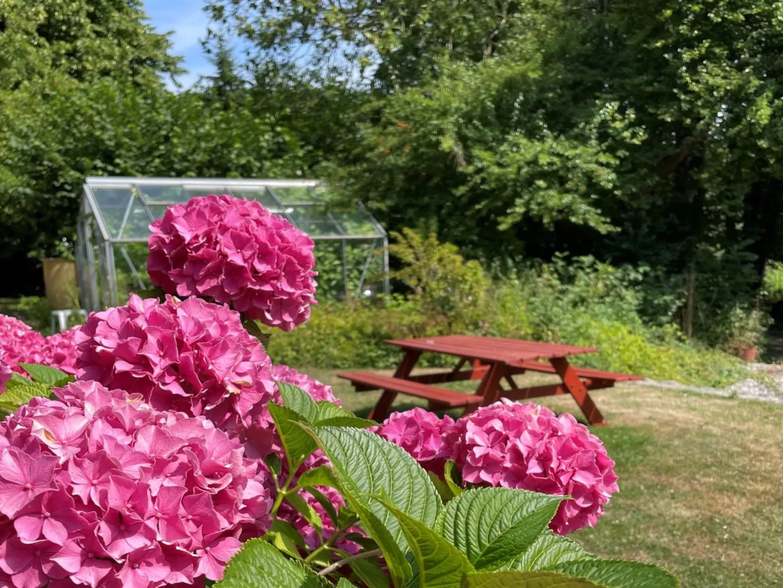 "Elvin" - 2.7km from the sea-Buiten