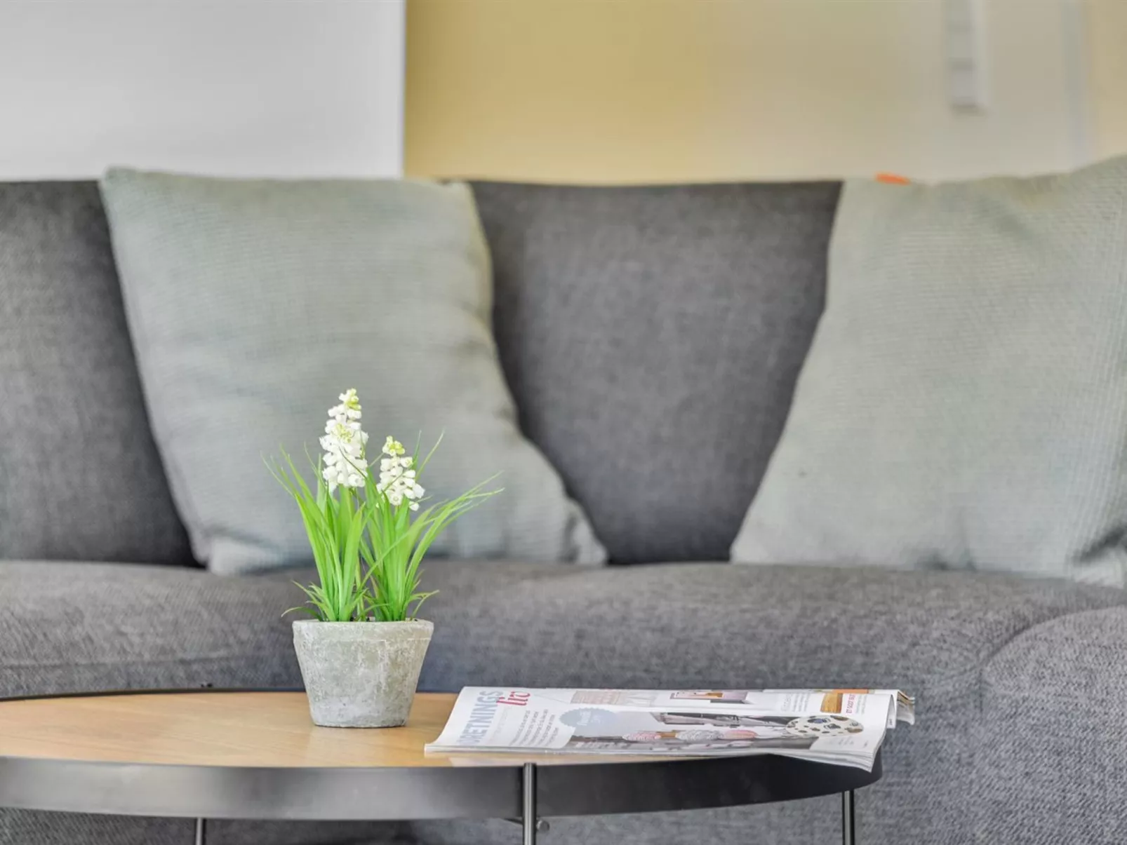 "Merve" - 800m to the fjord-Binnen