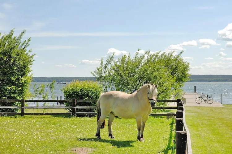 Ferienhaus in Plau am See 3SZ-Waterzicht