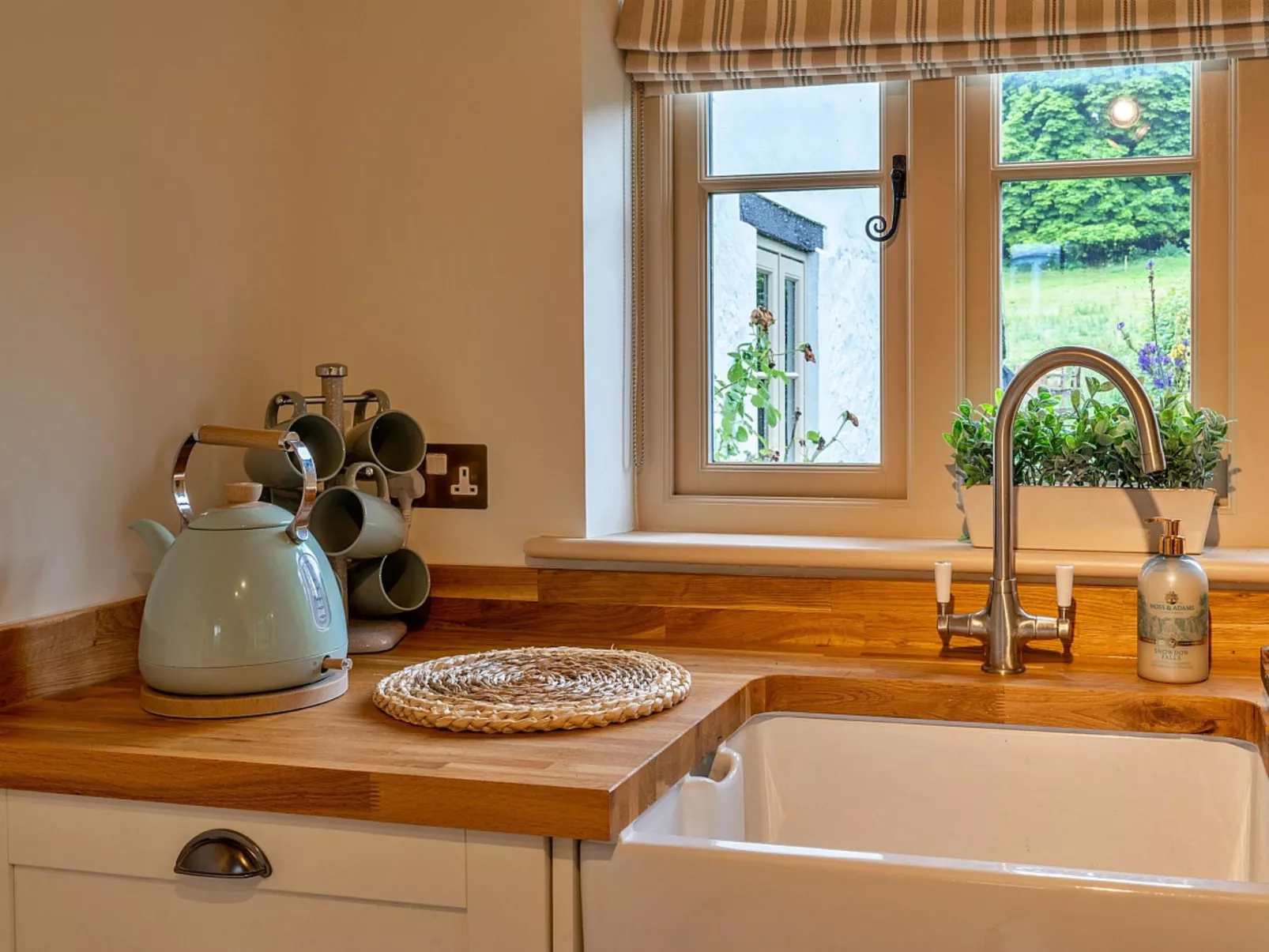 The Thatch at Winterborne Houghton-Buiten