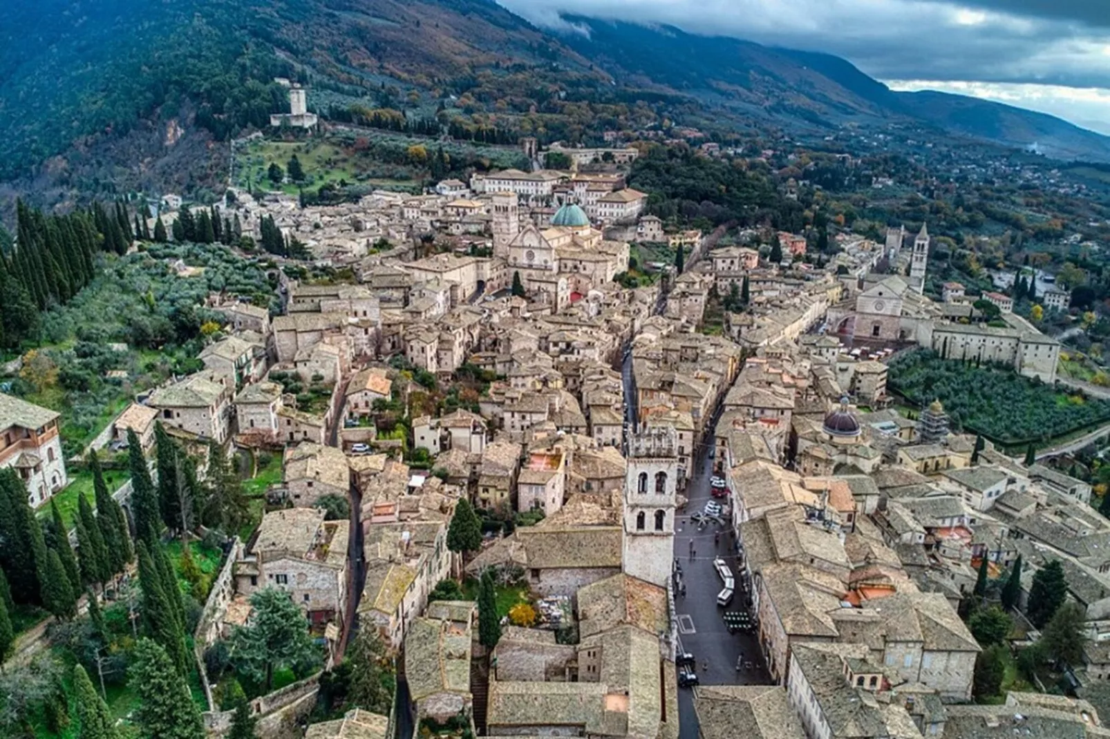 Terra-Gebieden zomer 1km