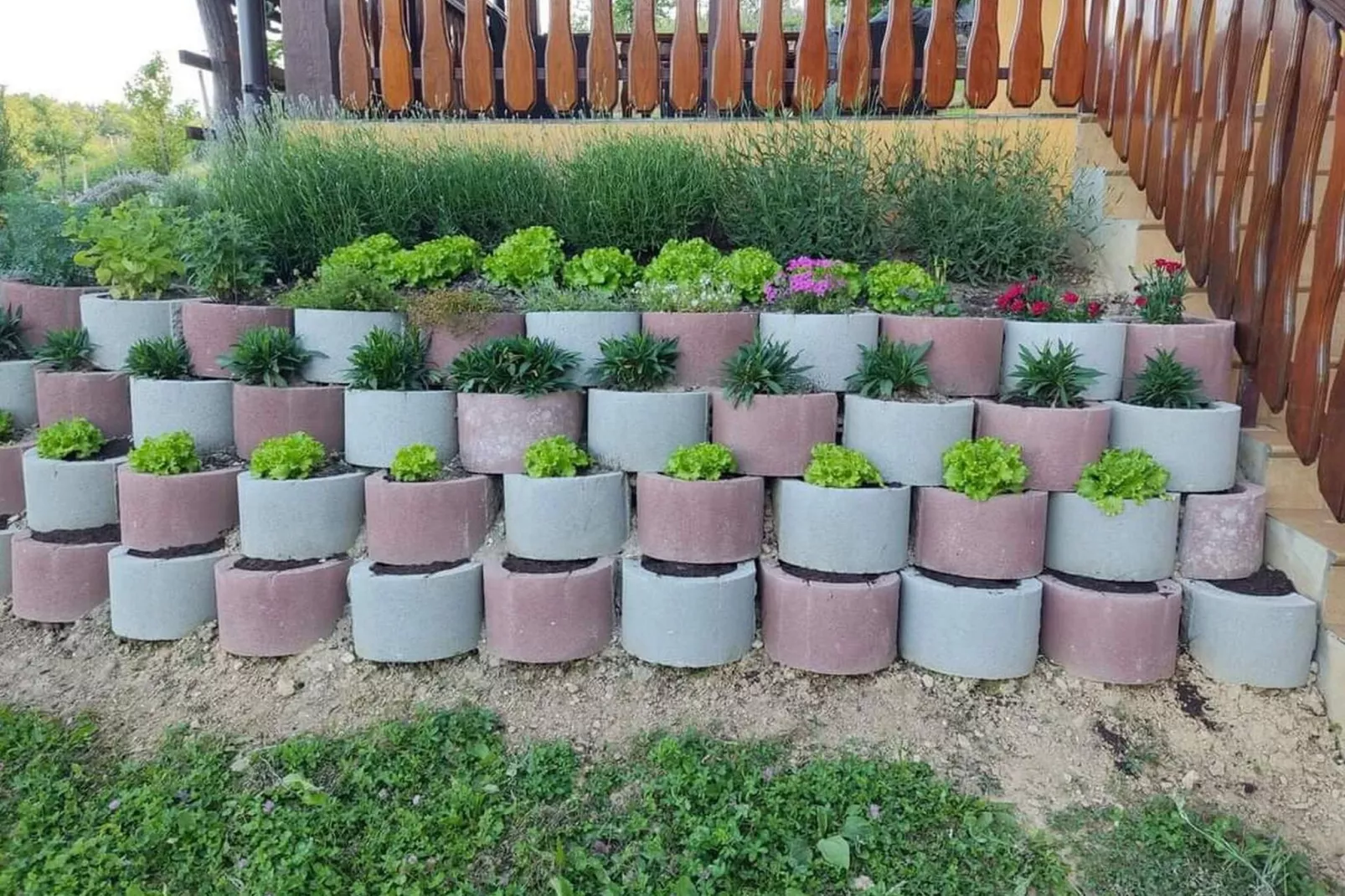 Golden Horizon Holiday Home with Terrace and Garden - One Bedroom Holiday Home with Terrace and Garden