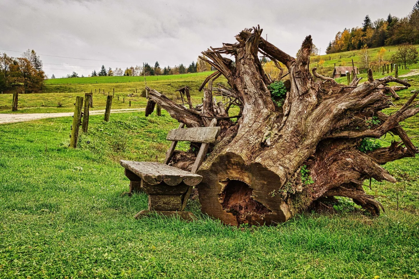 Visnja Gora Meadow Hideaway with Terrace - One Bedroom Cottage with Terrace (owner Hiška na skalci)-Buitenlucht