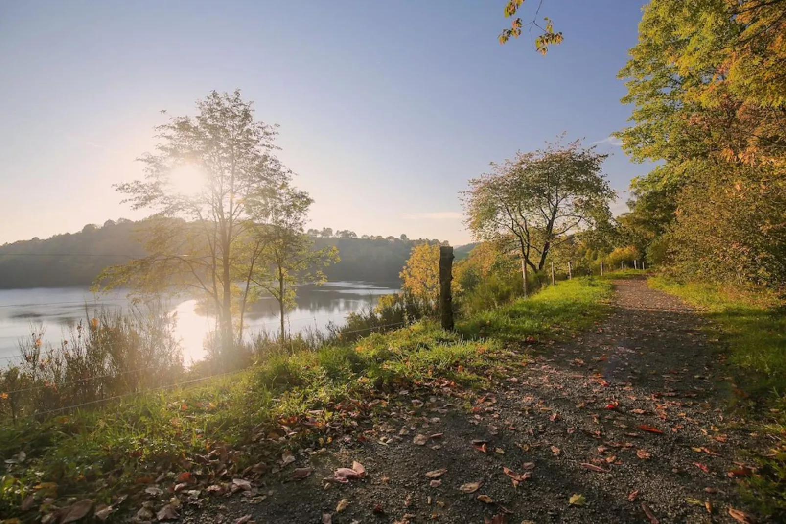 Ferienhaus Birresborn-Gebieden zomer 5km