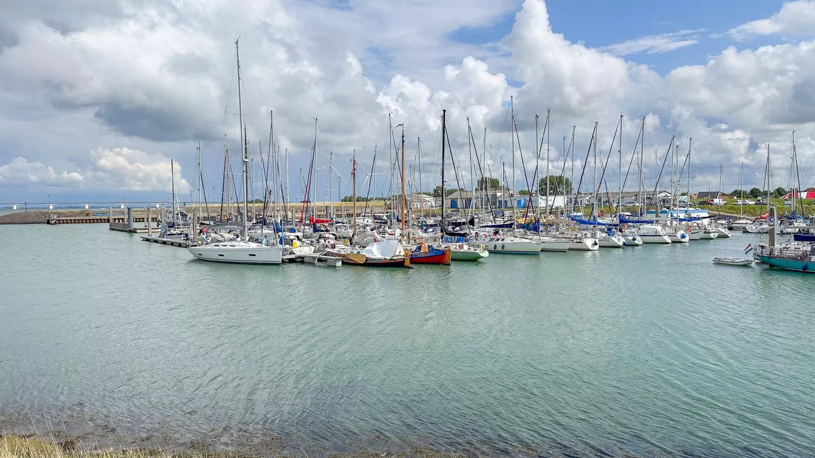 Dune Deluxe 81-Gebieden zomer 1km