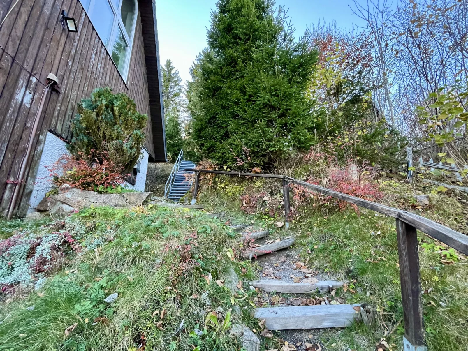 Falkennest - mit Blick auf den Titisee-Buiten