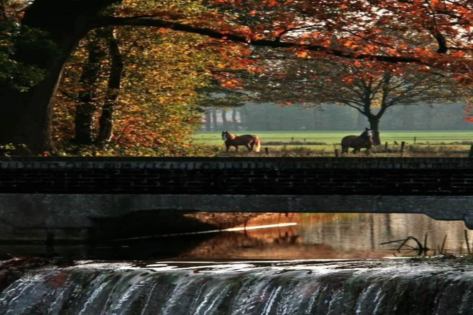 Vakantiepark Molenvelden 6-Gebieden zomer 20km