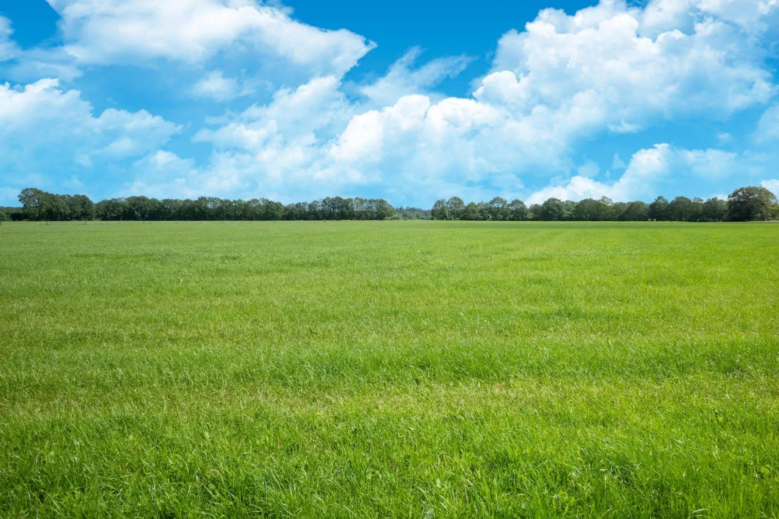 Huisje 37-Gebieden zomer 5km