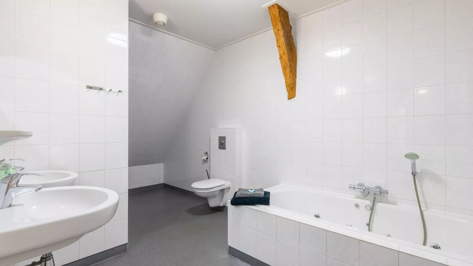 Groep in Friesland-Badkamer