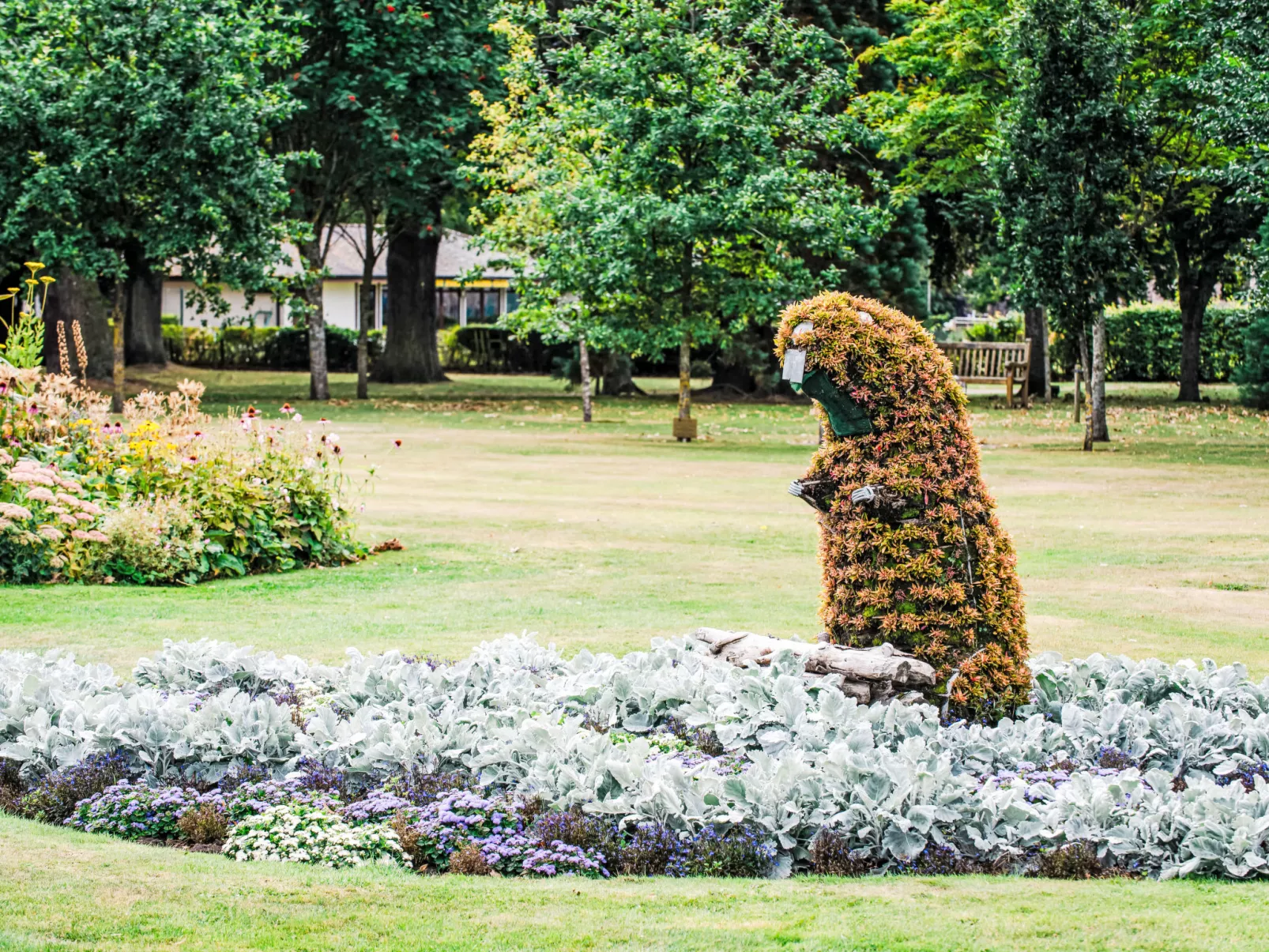 Varis Haven-Omgeving