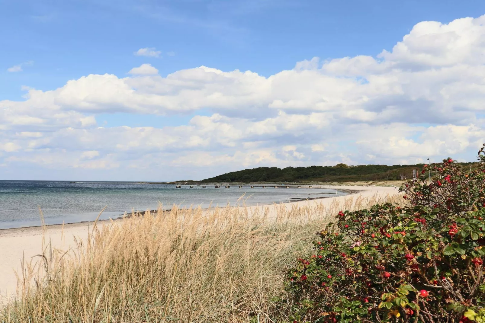 5 sterren vakantie huis in Torekov-Niet-getagd