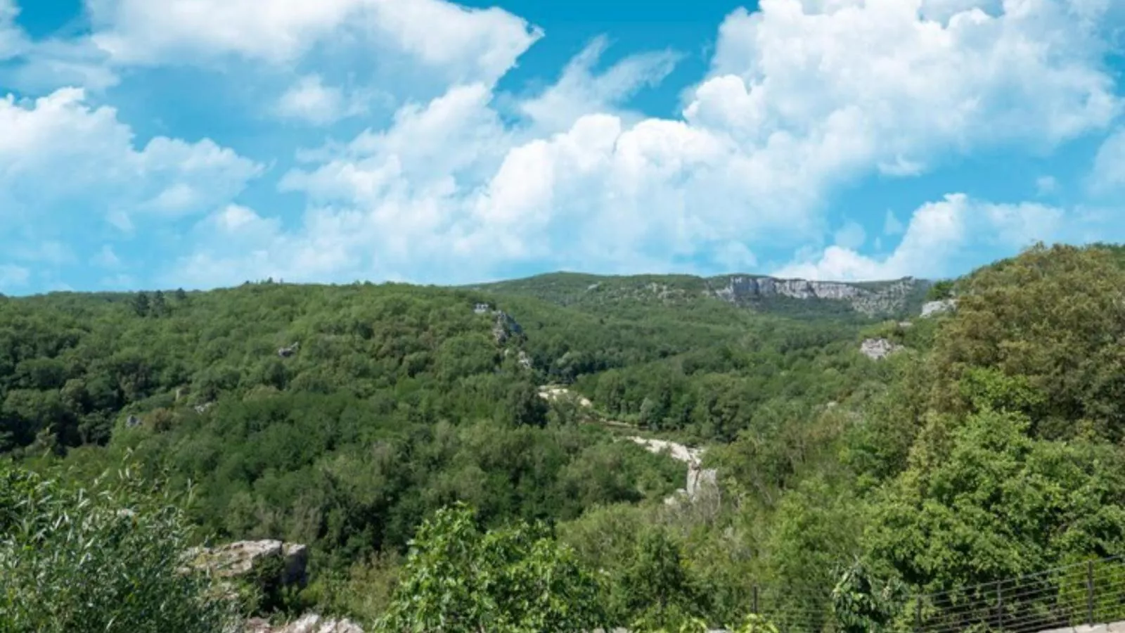 Grenadiers-Gebieden zomer 1km
