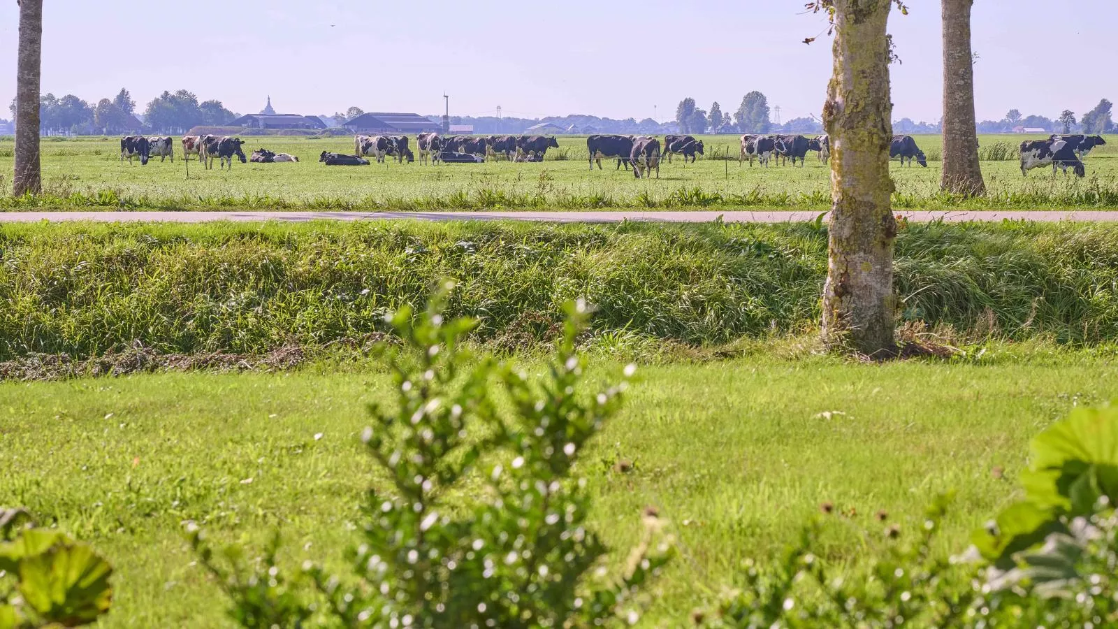 Alpa Casa-Uitzicht zomer