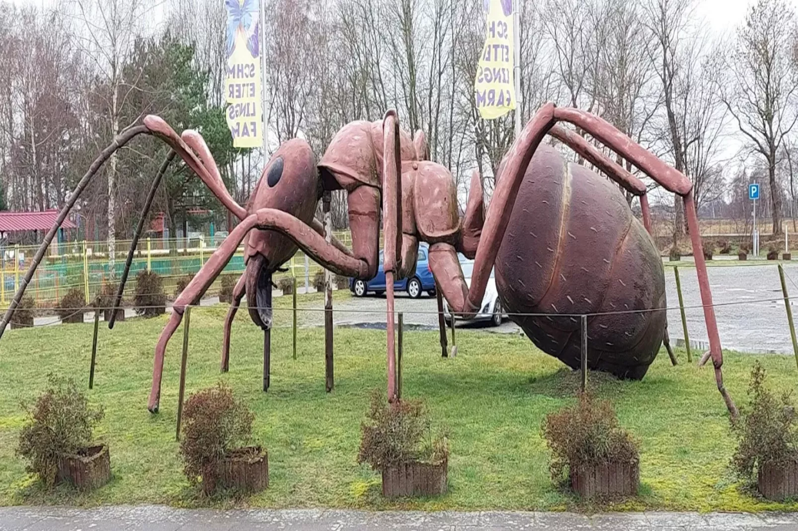 OG links 50 qm-Gebieden zomer 5km