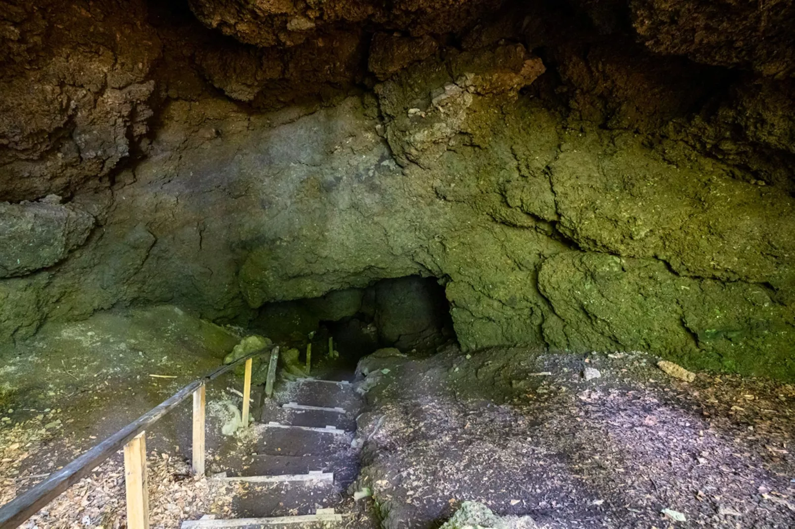 Ferienhaus Birresborn-Gebieden zomer 5km