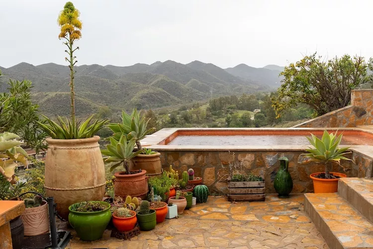 CT 385 AL - Faro's Soulrise Villa - Mojacar - Pool & Artistic Flair close to the Beach-Gebieden zomer 1km