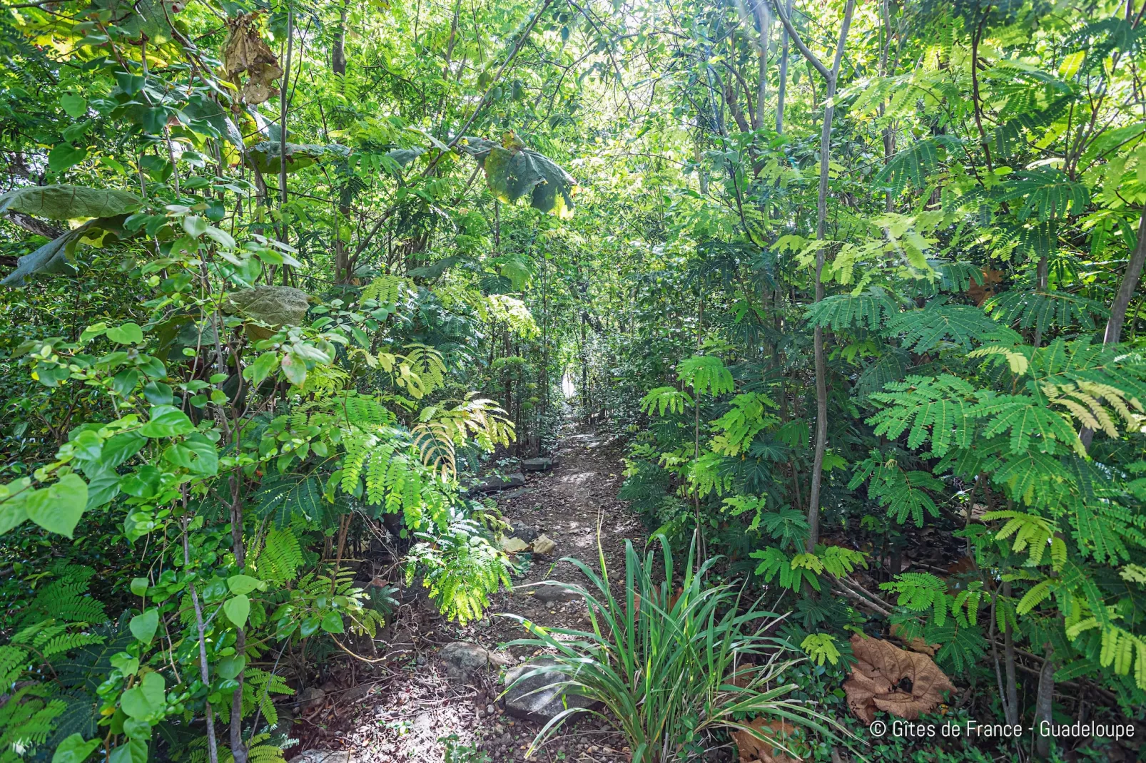 Complexe entier-Résidence-Villa-Salle de Bain amenagée-Vue mer-Tuinen zomer
