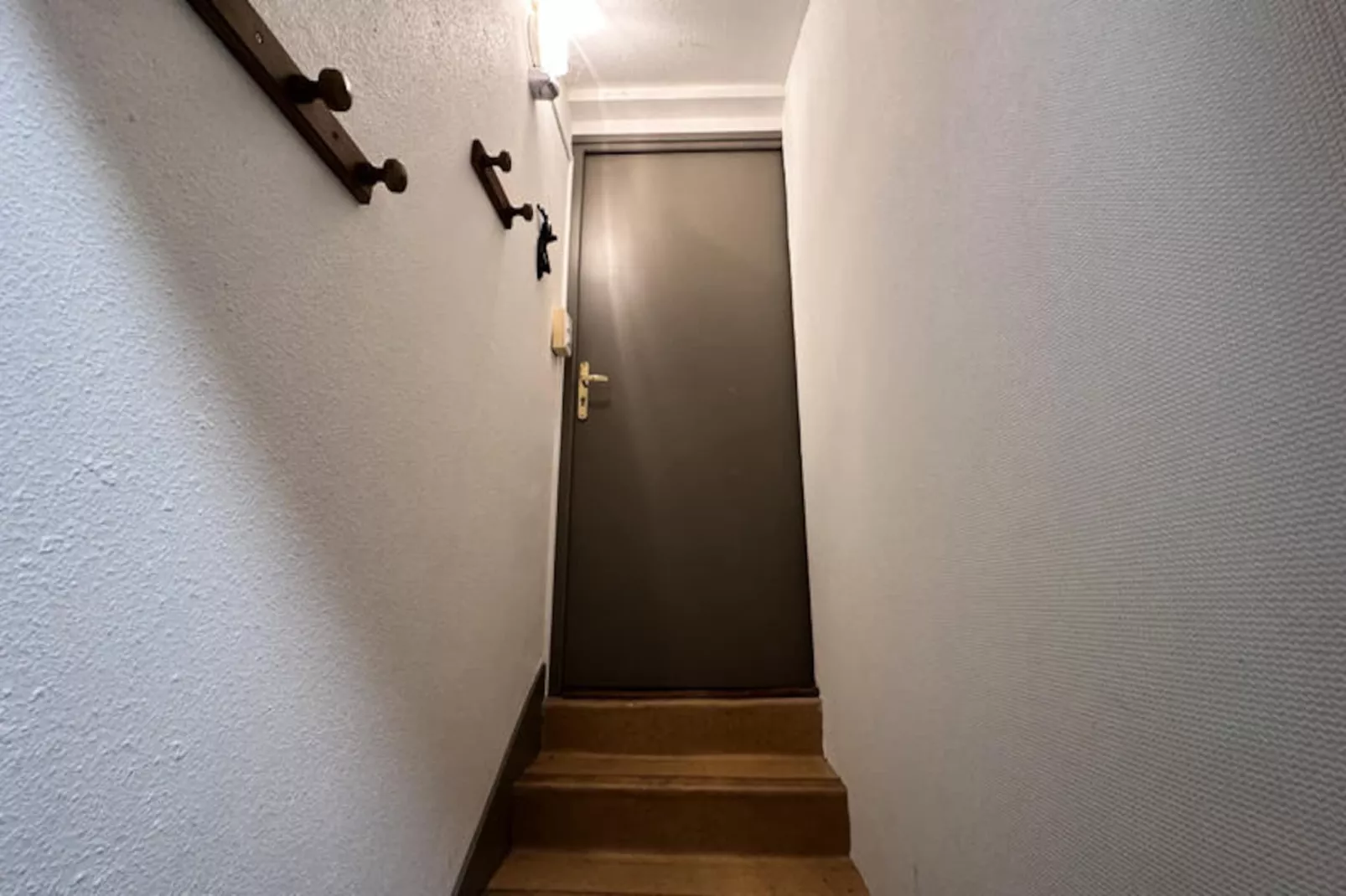 Appartements à Saint Jacques Des Blats-Niet-getagd