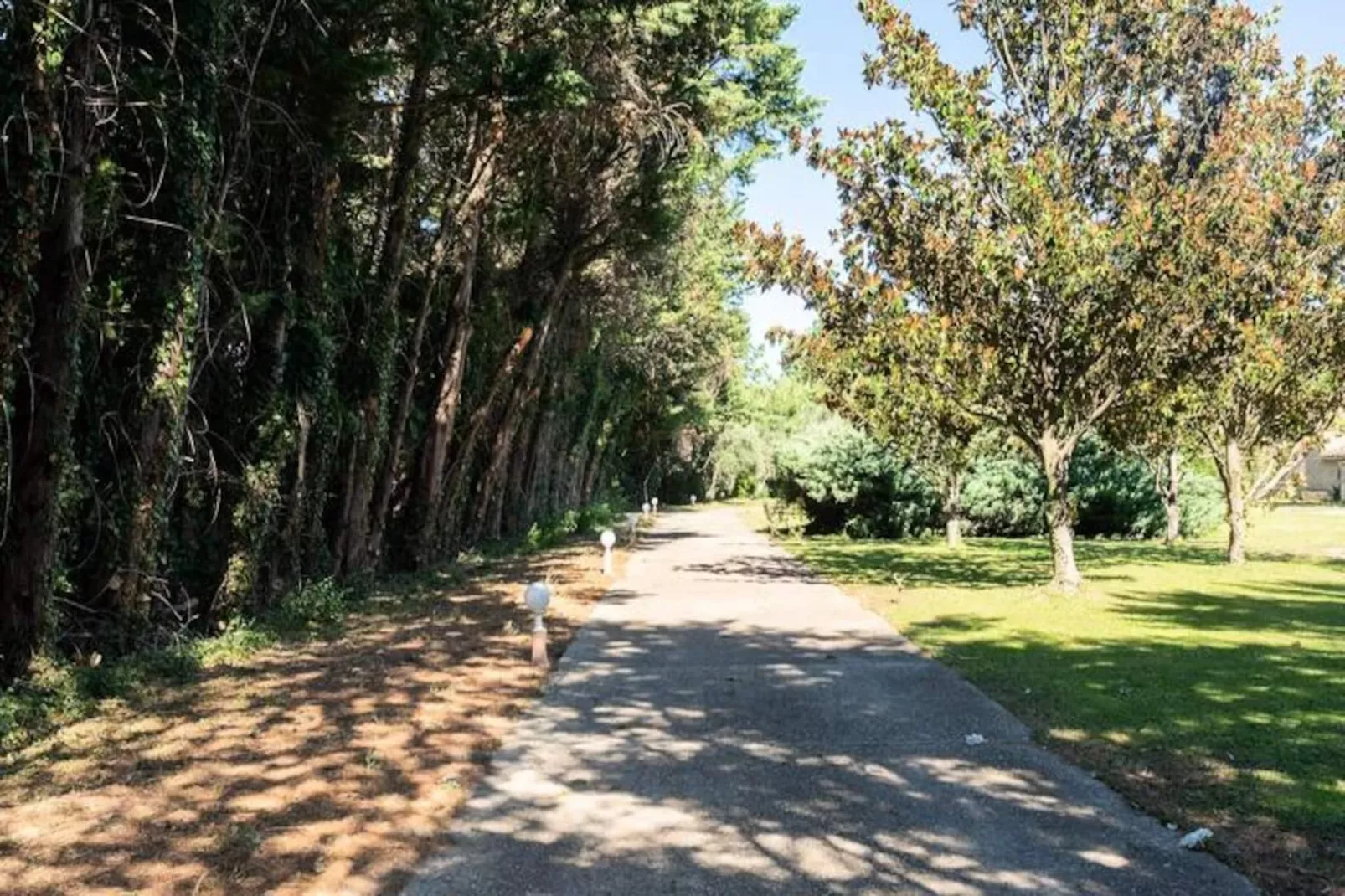 Superbe Mas Proven&ccedil;al - Piscine - Tennis - Parc-Niet-getagd