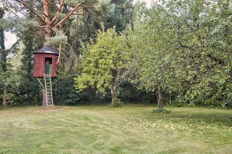 Dom wakacyjny w Sasinie dla max 6 osób-Tuinen zomer