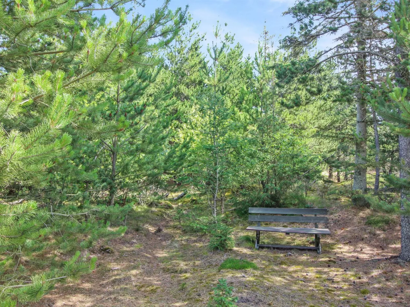 "Heike" - 1.3km from the sea-Buiten