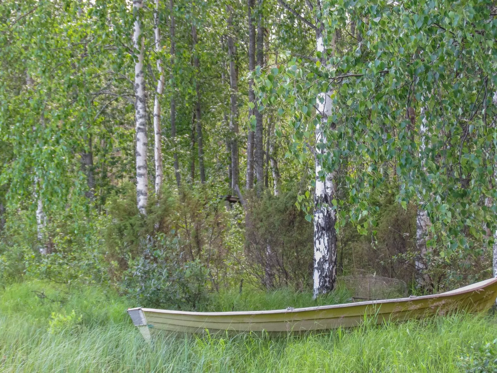 Pilkkaniemi - Binnen