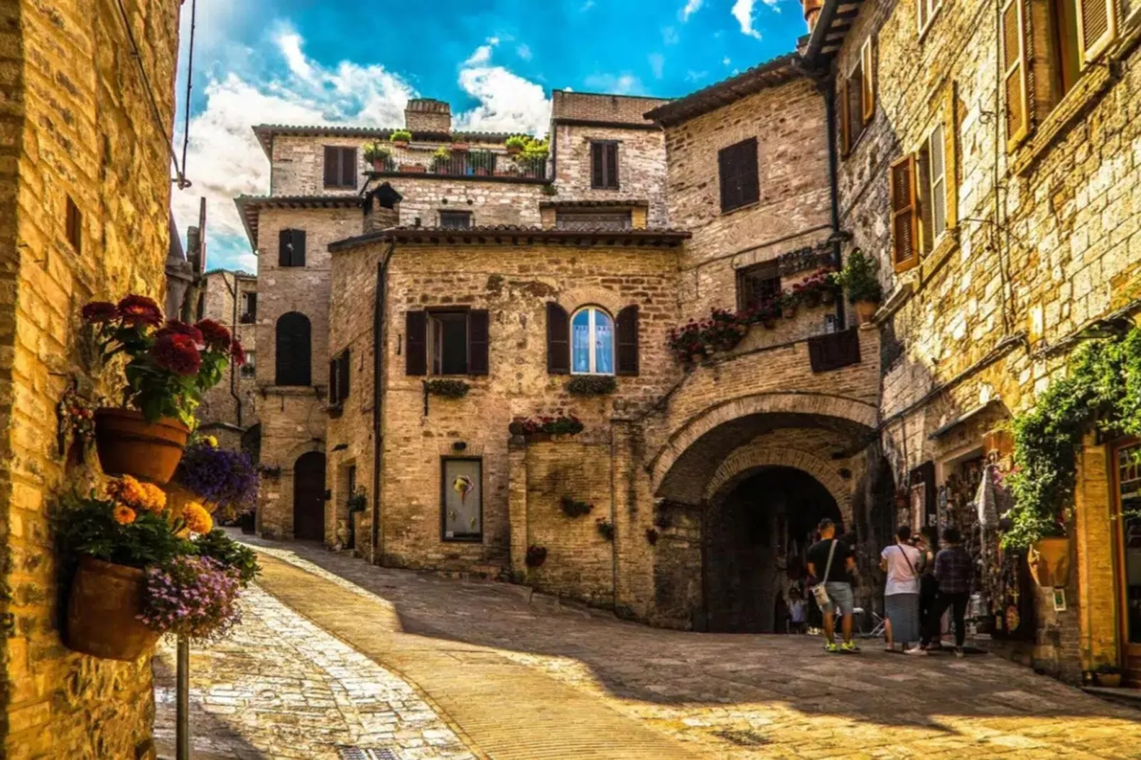 Terra-Gebieden zomer 20km