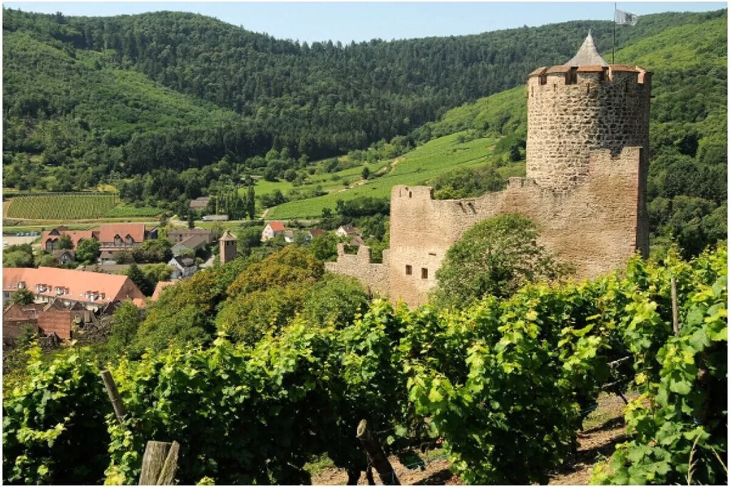 428685 - Niet-getagd