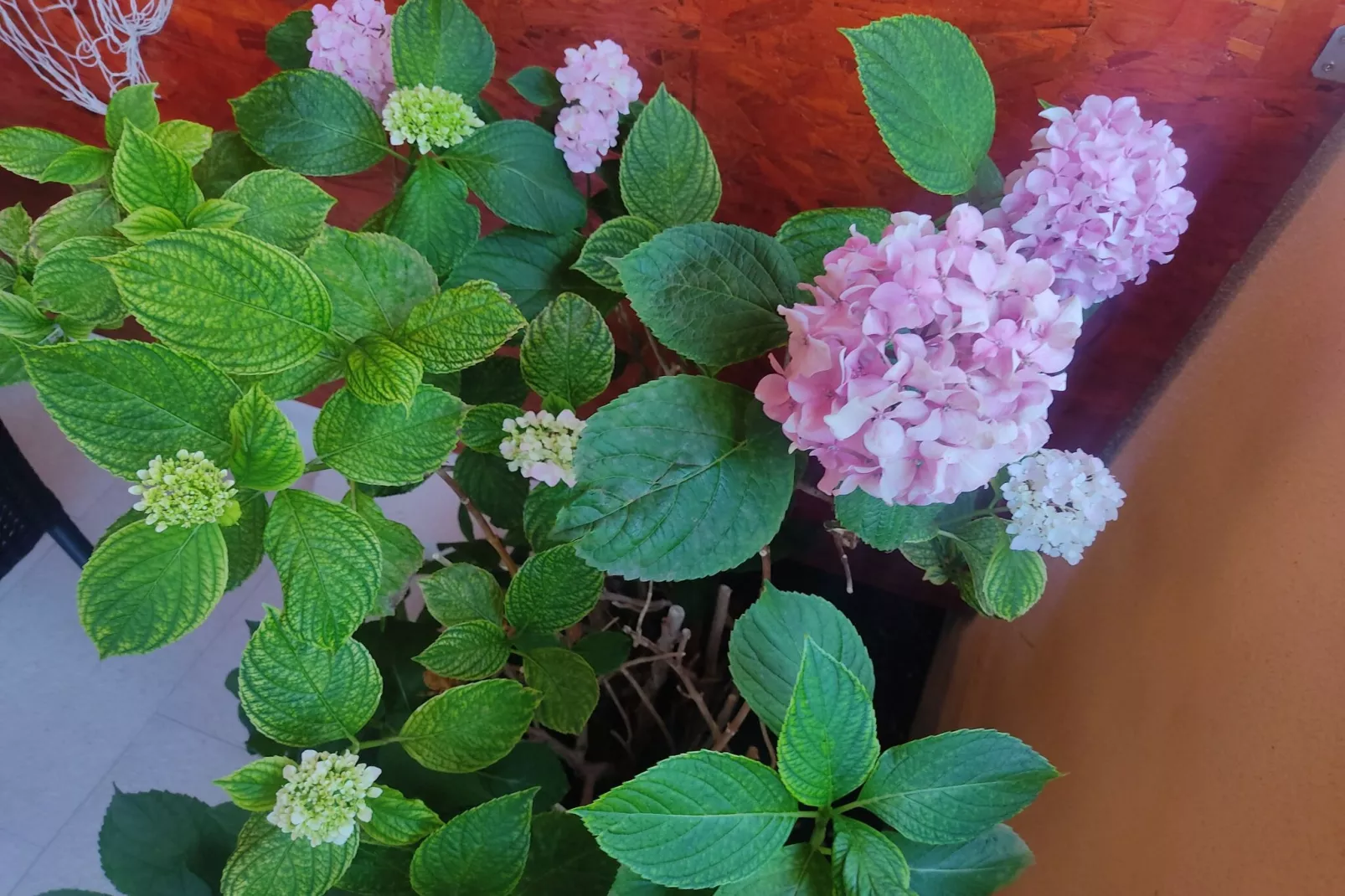 Room Porat 2 with Private Terrace - Double Bedroom with Private Terrace-Buitenlucht