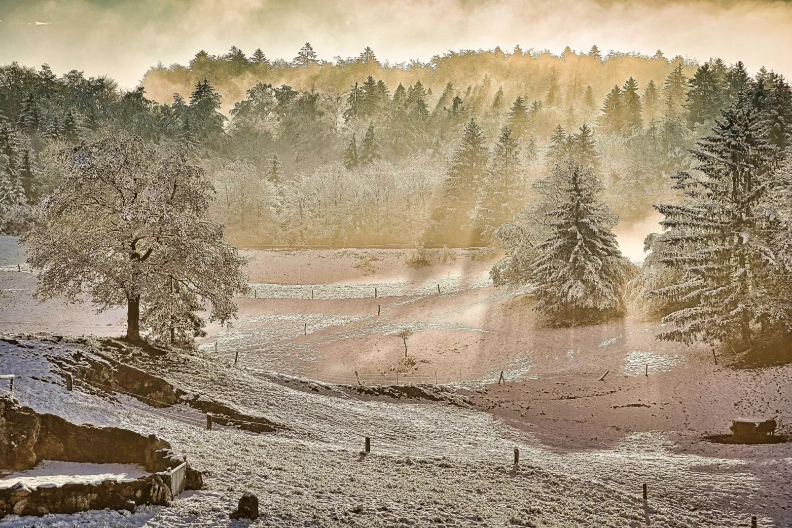 Visnja Gora Meadow Hideaway with Terrace - One Bedroom Cottage with Terrace (owner Hiška na skalci)-Buitenlucht