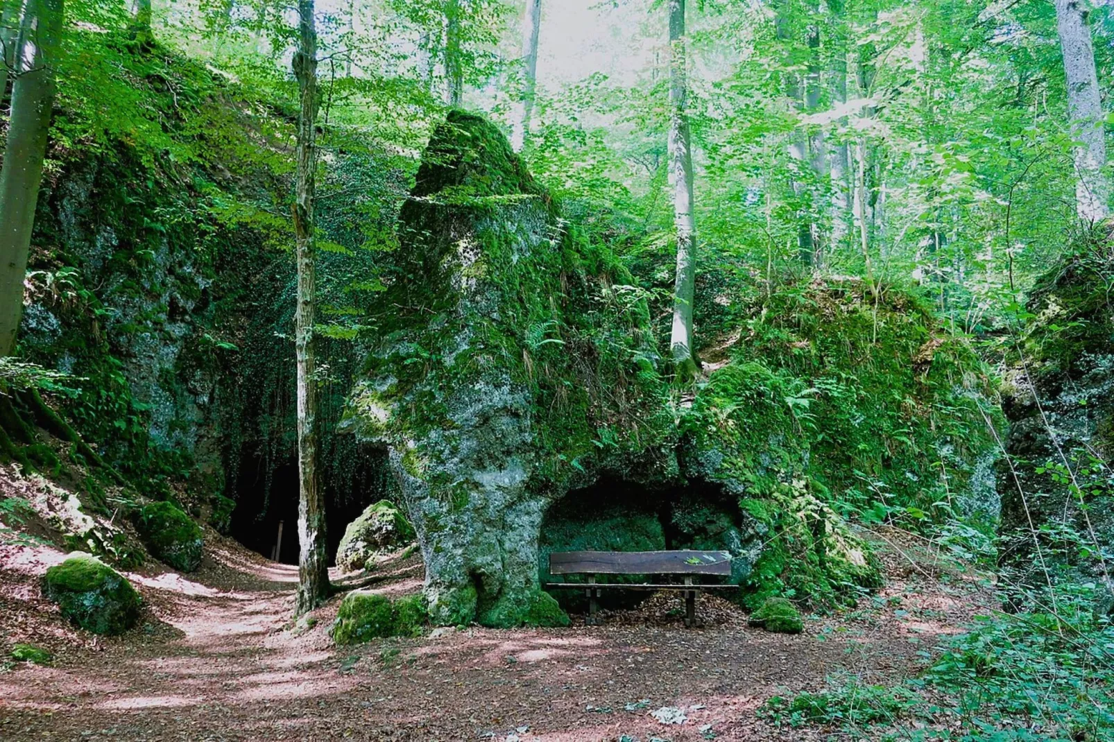 Ferienhaus Birresborn-Gebieden zomer 5km