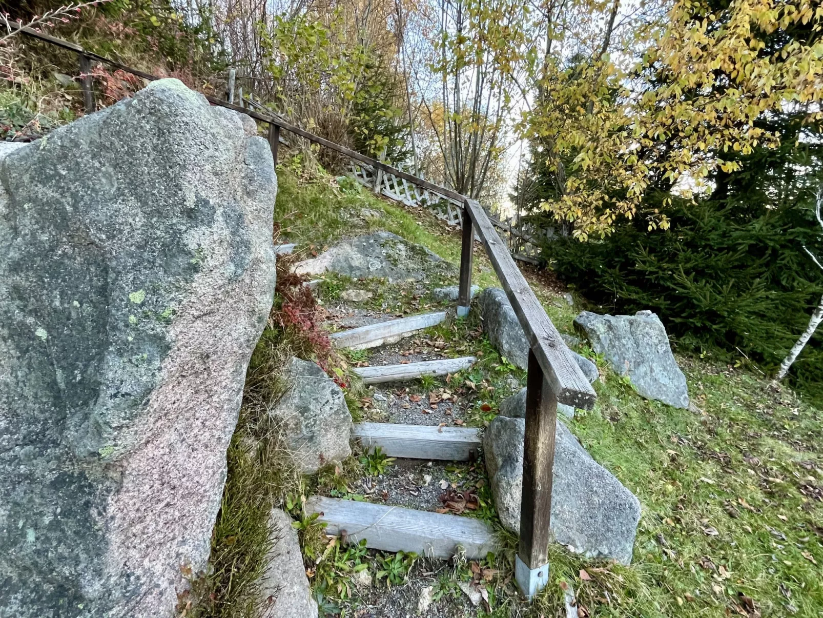 Falkennest - mit Blick auf den Titisee-Buiten