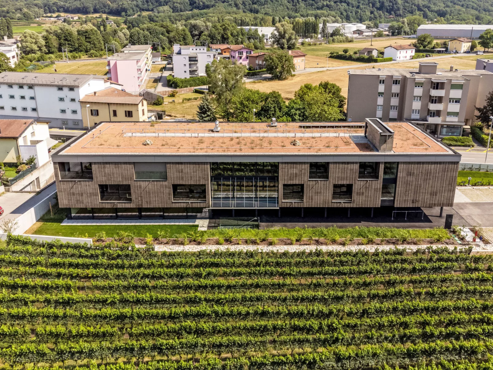 Lo Scudo di Stabio 1 Zi.Studio Süd.-Buiten