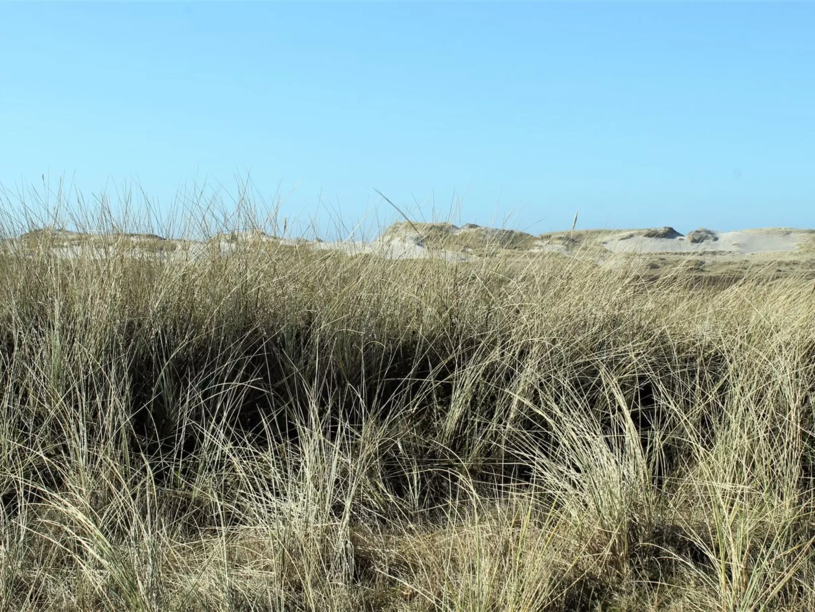 "Swanja" -  from the sea-Buiten