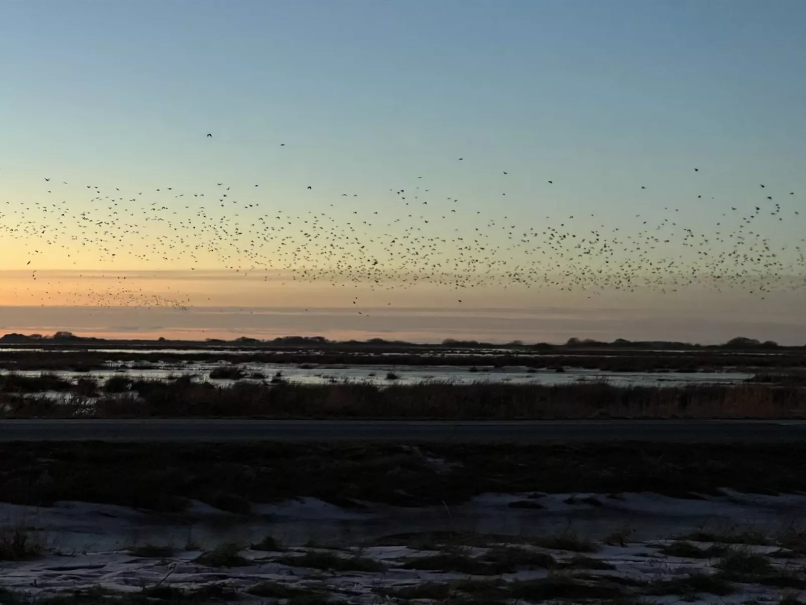 "Ronja" - 100m to the fjord-Buiten