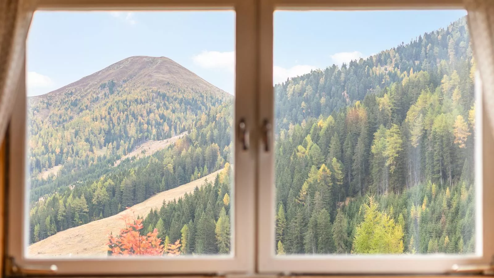 Carmaliva-Uitzicht zomer