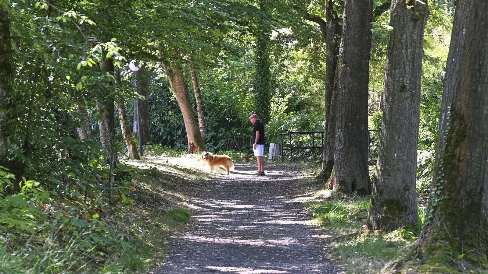 Hoeve Sonnevijver-Gebieden zomer 5km