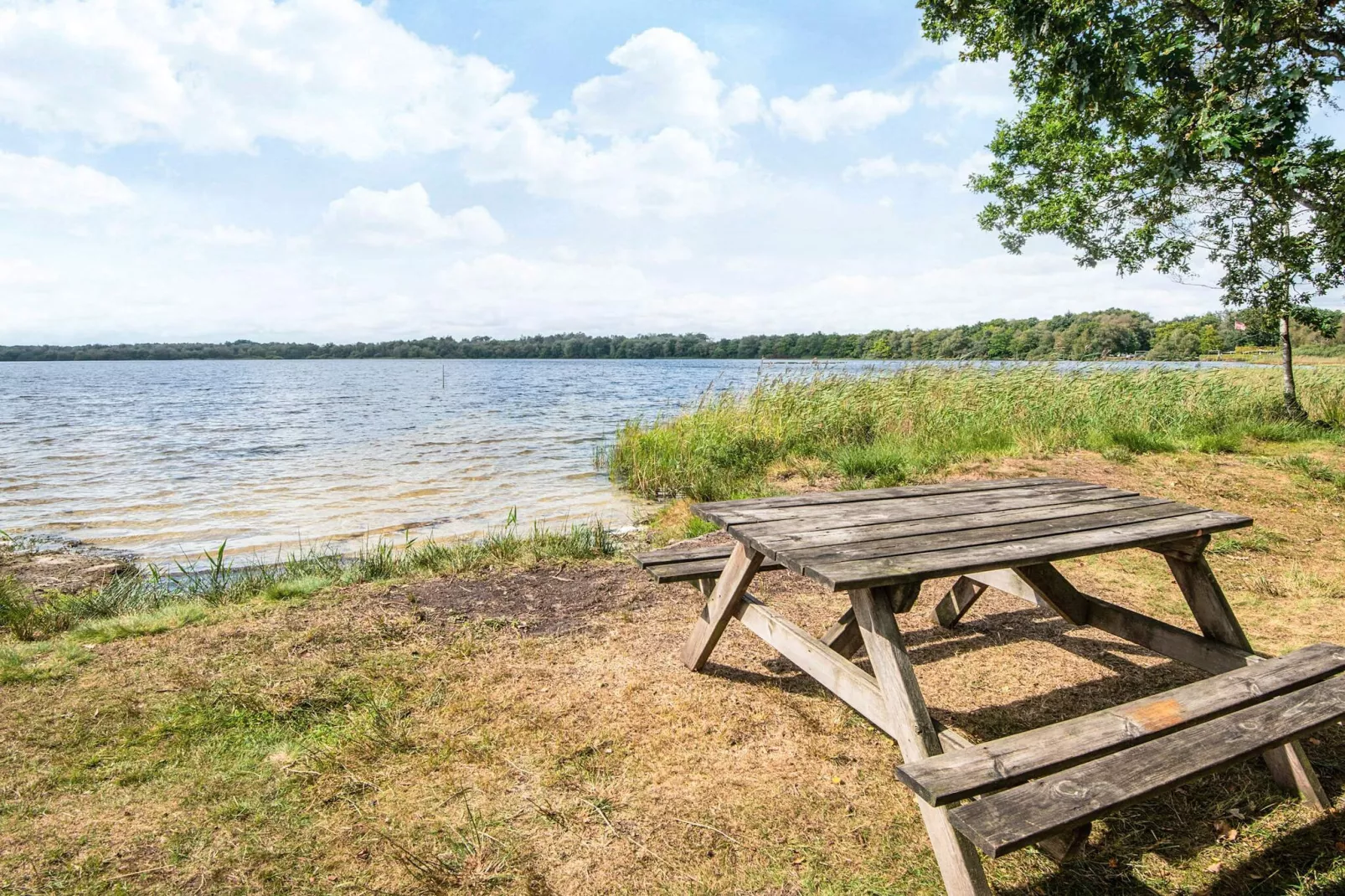 5 sterren vakantie huis in Ansager-Niet-getagd