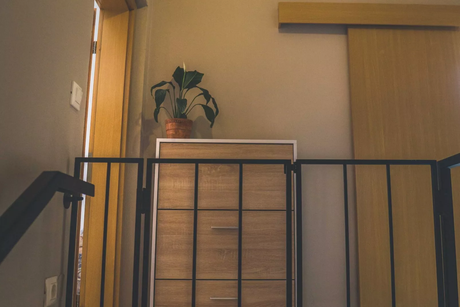 Comfortable Apartment with Mountain View - One Bedroom Apartment-Trap