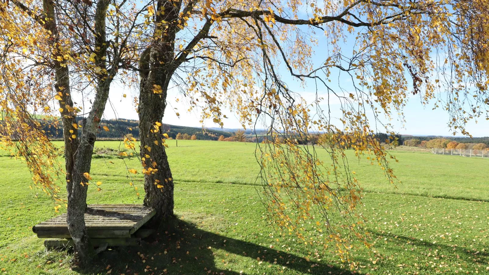 Petit Wilogne-Tuinen zomer